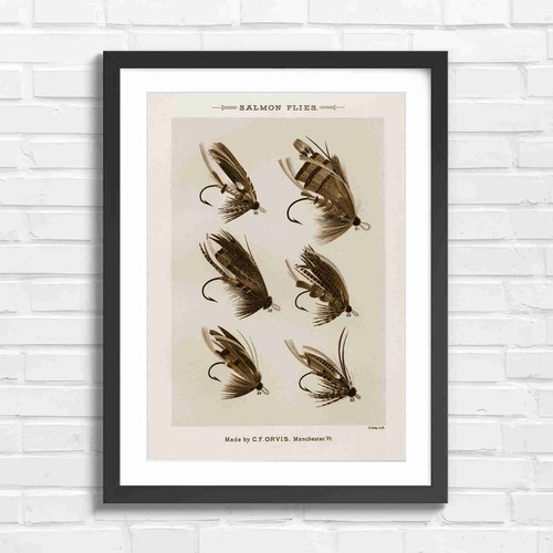 Vintage salmon fly fishing - salmon, art