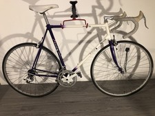 Raleigh Dyna-Tech 600