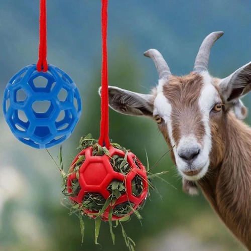 Horse treat ball circular - treat,