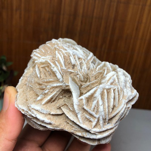 81mm natural desert - 81mm,
