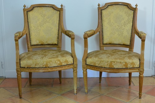 Pair parisian armchairs - parisian,