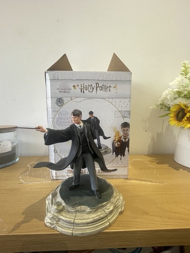 Harry potter enesco tom riddle - potter,