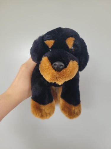 Animal alley rottweiler dog - animal,