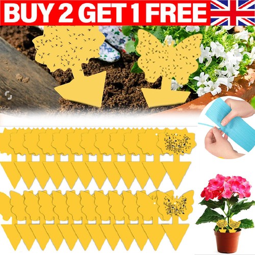 41pcs sticky fly traps plant - fly,