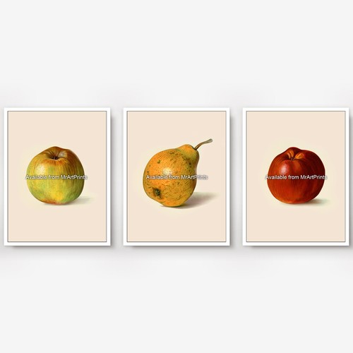 Triptych set kitchen - triptych, of