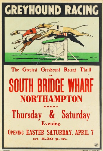 Greyhound racing south bridge - greyhound,