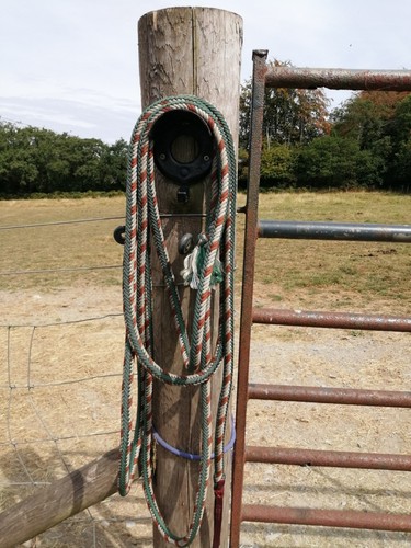 Western mecate reins double - western,