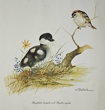 Joel Kirk ‘Goldeneye and Goldcrest’ Print (Rosenstiel, 1979) British Birds
