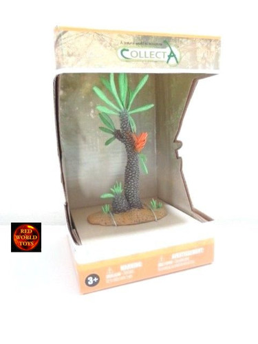 Williamsonia prehistoric - williamsonia,