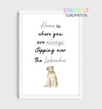 Labrador (Yellow) Unframed A4