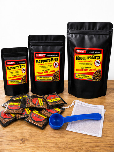 Mosquito bits fungus - mosquito,
