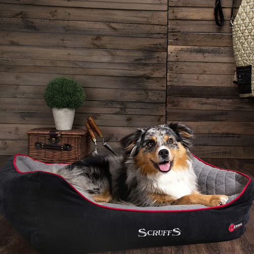 Scruffs thermal box dog bed - scruffs,