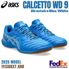 Asics Futsal Indoor shoes