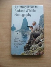 Introduction to Bird and