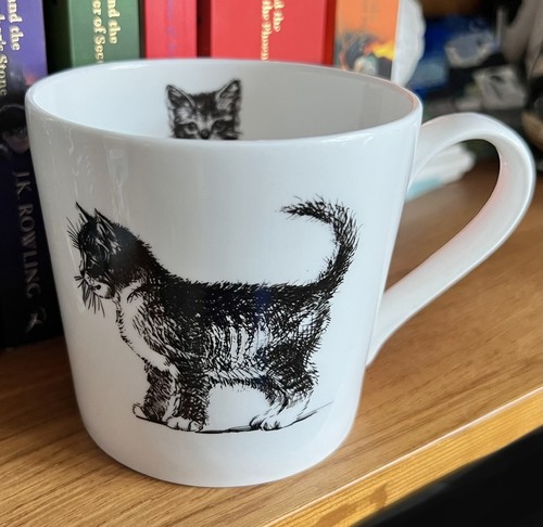 Data tabby cat kitten - tabby, in