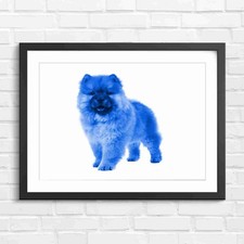Fluffy Chow Chow Puppy