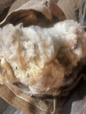 30LB Wool for Spinning Felting