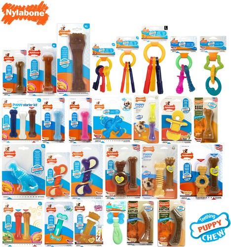 Nylabone puppy teething tough - puppy,