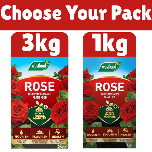 Westland rose plant food - plant, 1