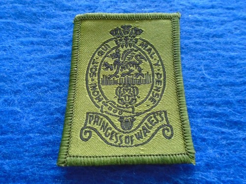 Princess wales royal - of,