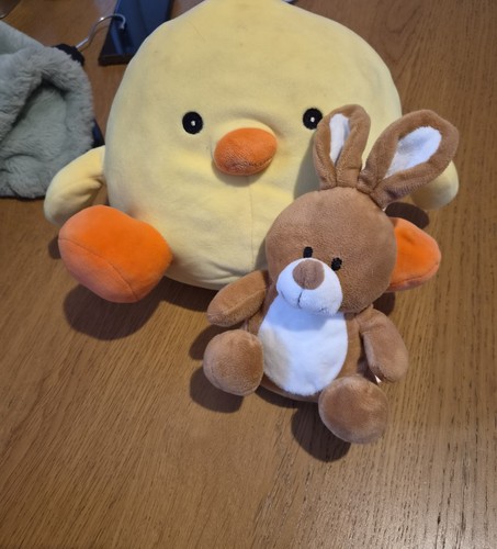 Easter chick and - easter, bunny
