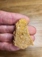 Dinosaur Fossil Bone From Kem