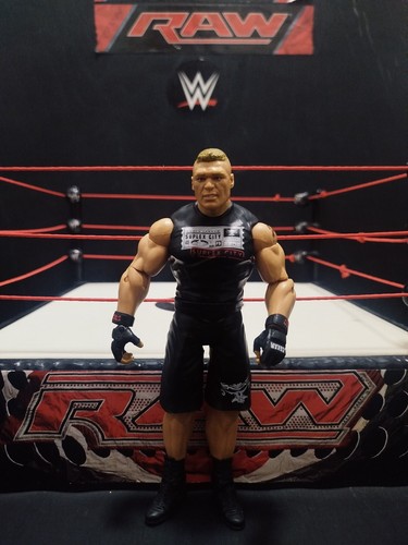 Wwe basic series brock - series,