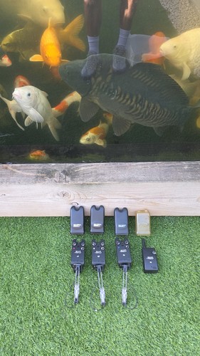 Delkim txi plus bite - bite, alarms