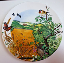 VGC Wedgwood Colin Newman