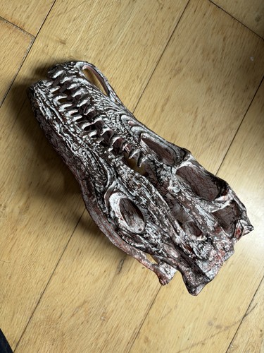 Replica dinosaur skull fossil - replica,