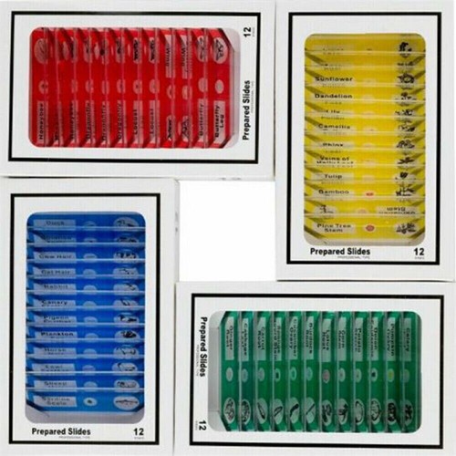 Kids science experiment toy - science,