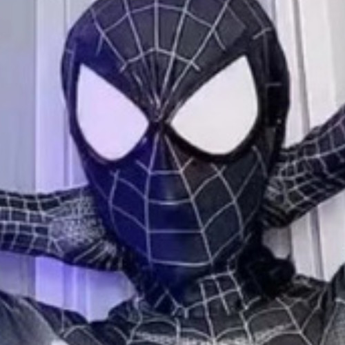 Women spiderman superhero - women-spiderman,