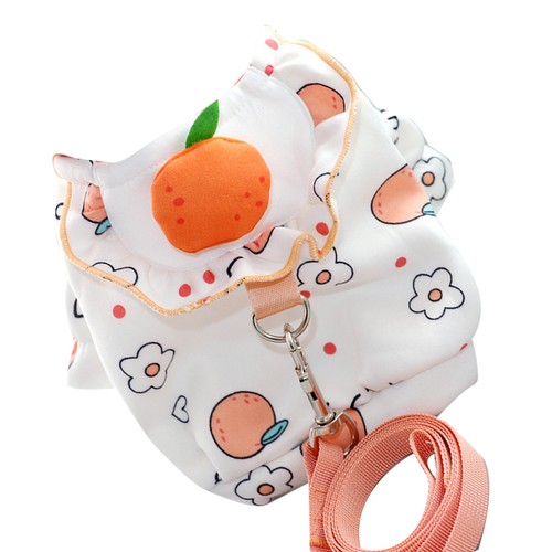Small puppy clothes - small, bichon