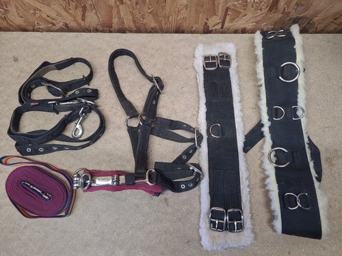 Lunging joblot pony size - lunging,