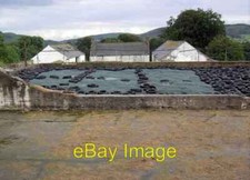 Photo 6x4 Foreside Farm