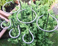 Plant Supports | Naturally