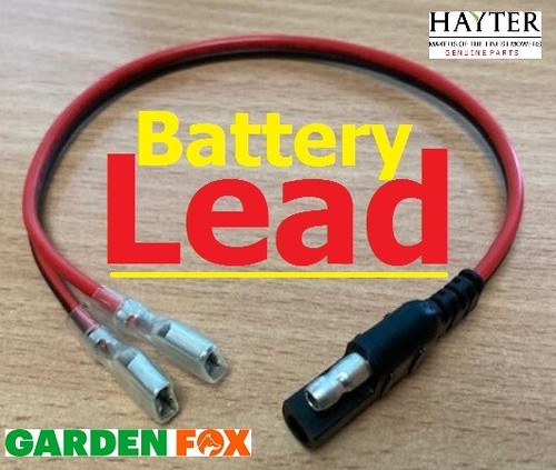 Hayter harrier vs mdl - hayter,