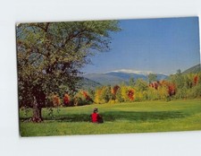 Postcard Mt. Washington From