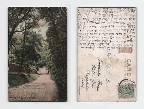 Vintage postcard grove - postcard, mill