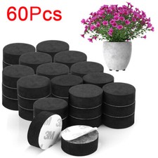 60 Pack Invisible Plant Flower