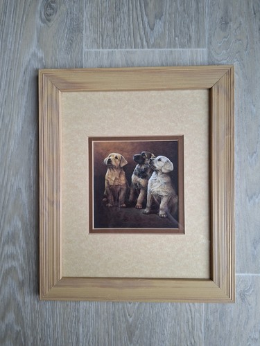 Nigel hemming framed - nigel, dog