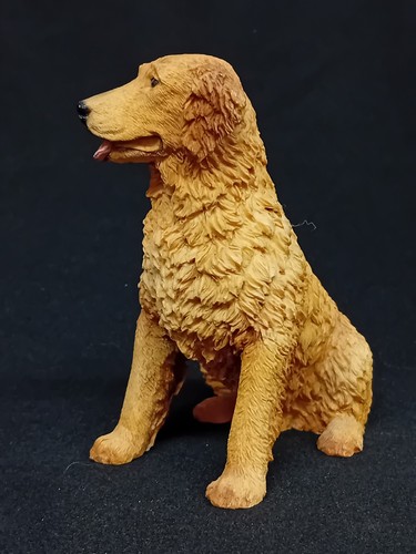 Castagna golden retriever - 'golden, retriever'
