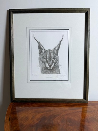Gary hodges caracal - gary,