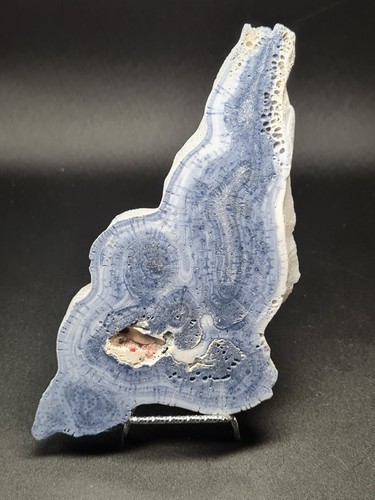 Blue ridge coral slice - blue,