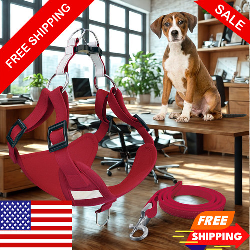 Soft reflective dog - dog, harness