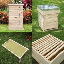 Langstroth Bee Hive Beekeeping Brood Box Honey Bee Hive Frames Beekeeper Tool