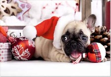 Doodlecards Pack of 10