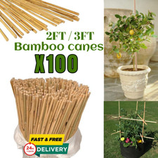 "Bamboo Canes Garden Thick