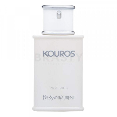 Yves saint laurent - yves,