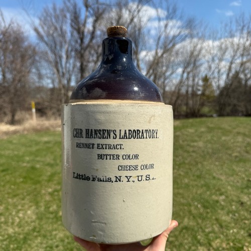 Antique hansen lab stoneware - lab,
